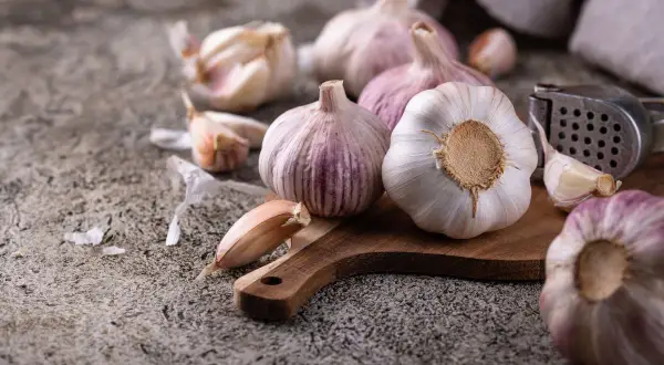 Główki czosnku na desce, obok praska. Idealne do suszenia i dodawania smaku potrawom.