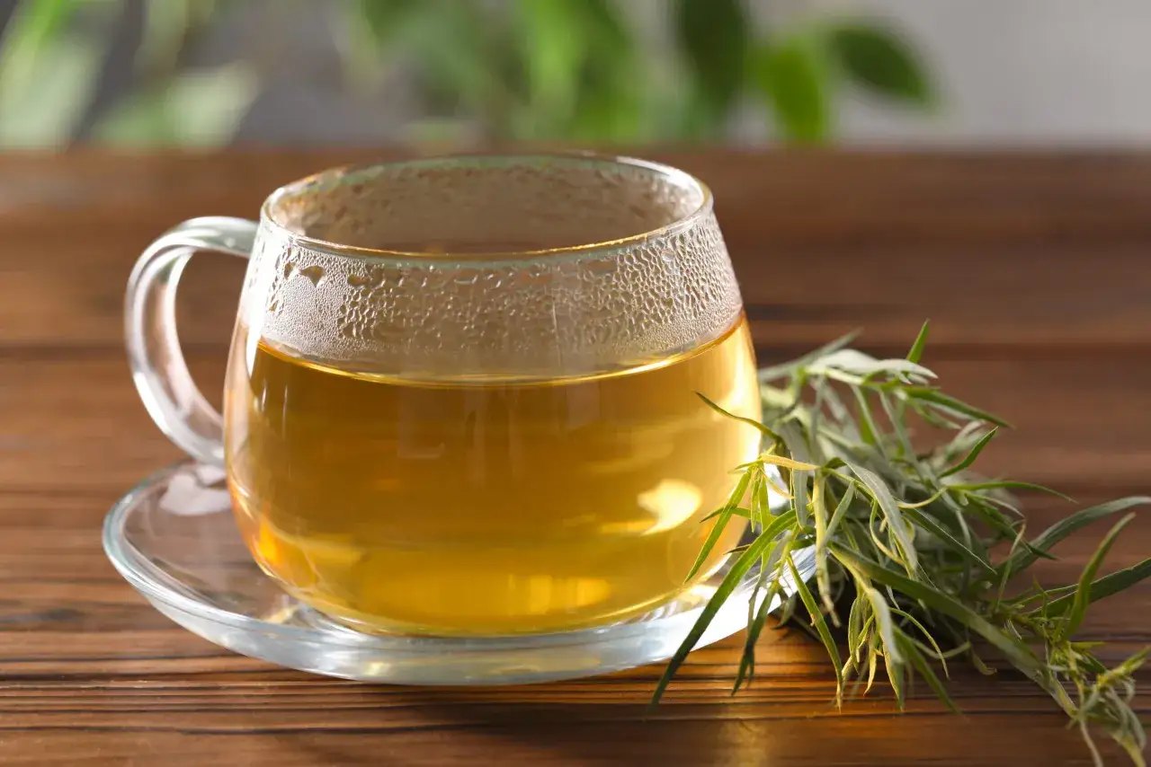 Szklana filiżanka z parującą herbatą, obok gałązka estragonu. Estragon do czego? Do herbaty, dla aromatu i zdrowia.